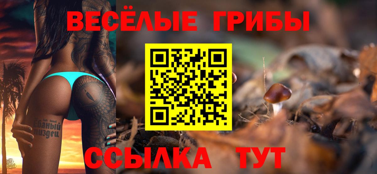 МЕФ кристаллы  ГАШИШ  A PVP СК   НБОМе  Миасс  Вход с VPN  Каннабис 